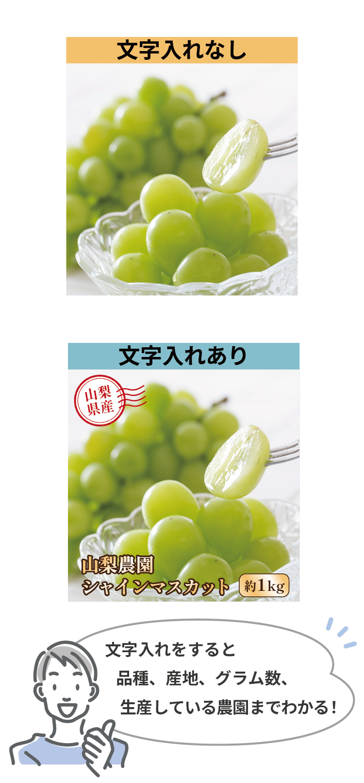 比較画像2